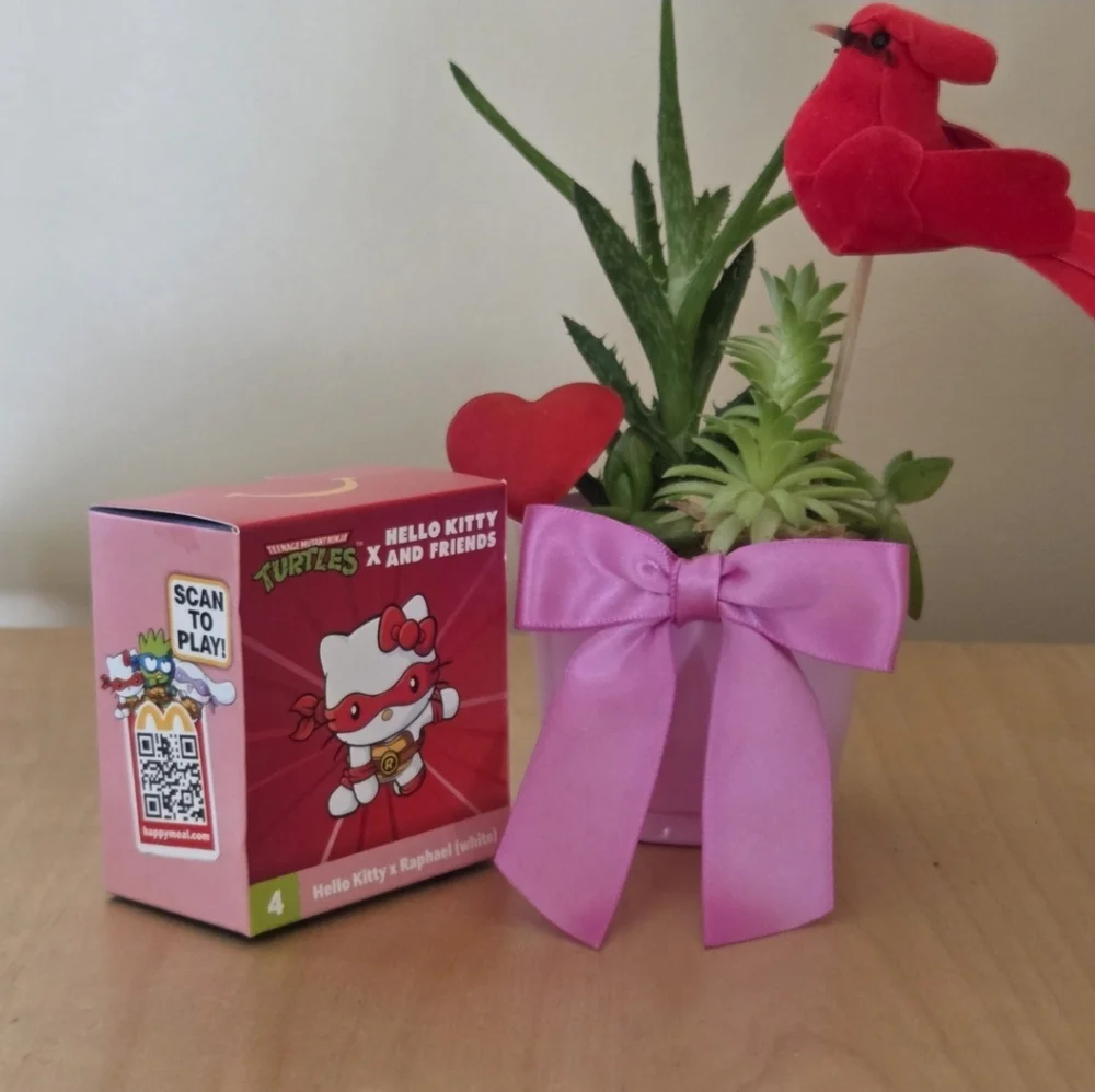 Hello Kitty x Raphael (White) Teenage Mutant Ninja Turtles Figurine Sanrio
